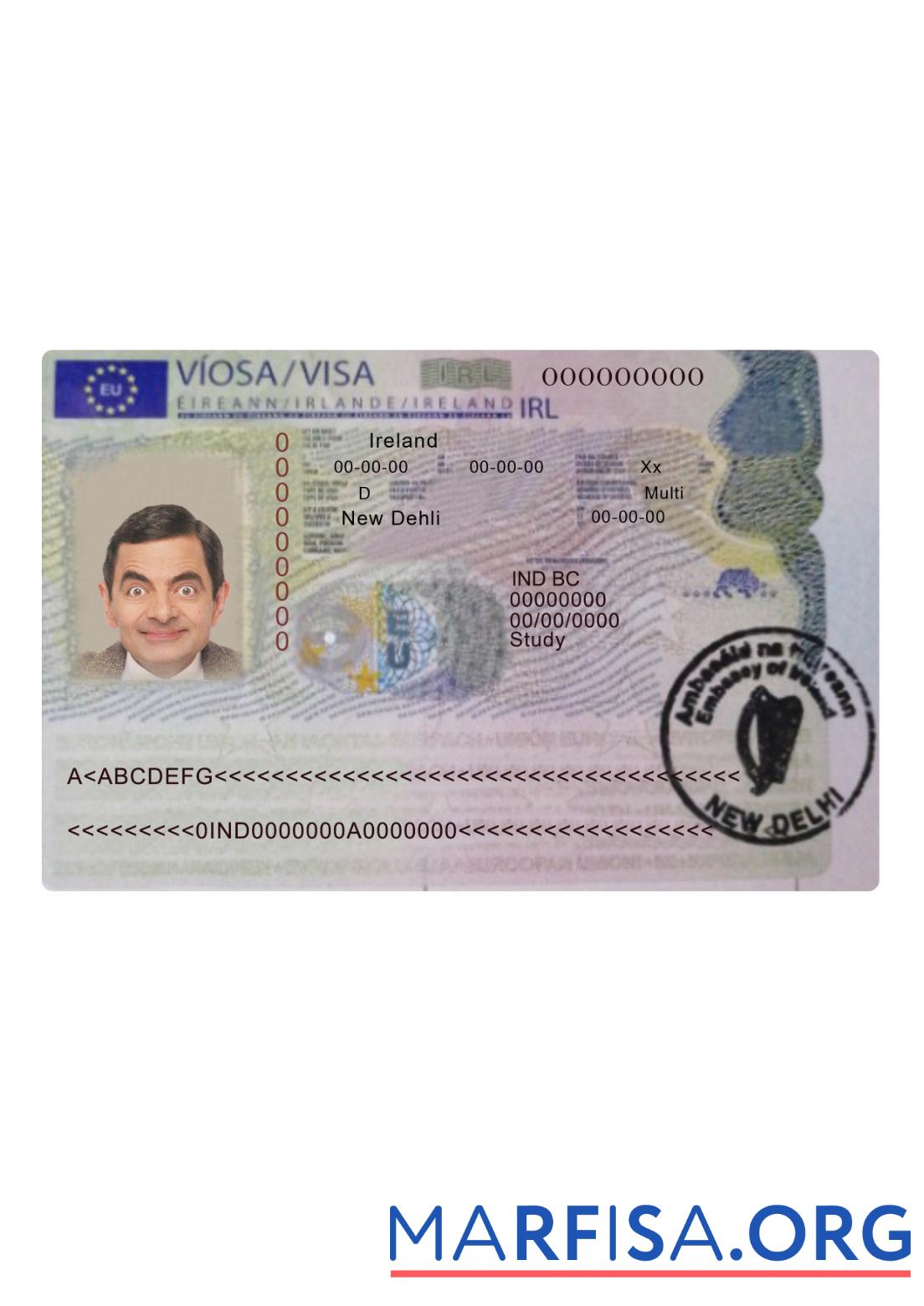 Blank Ireland travel visa template